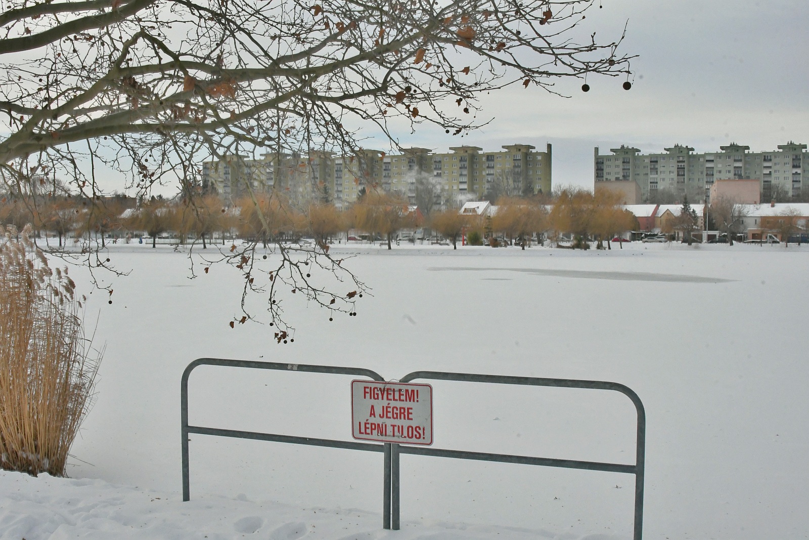 Jégre lépni tilos! - életveszélyes a városi tavak jegére menni